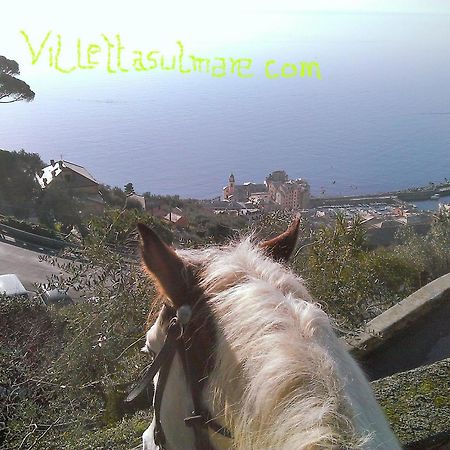 Villetta Sul Mare كامولّي المظهر الخارجي الصورة