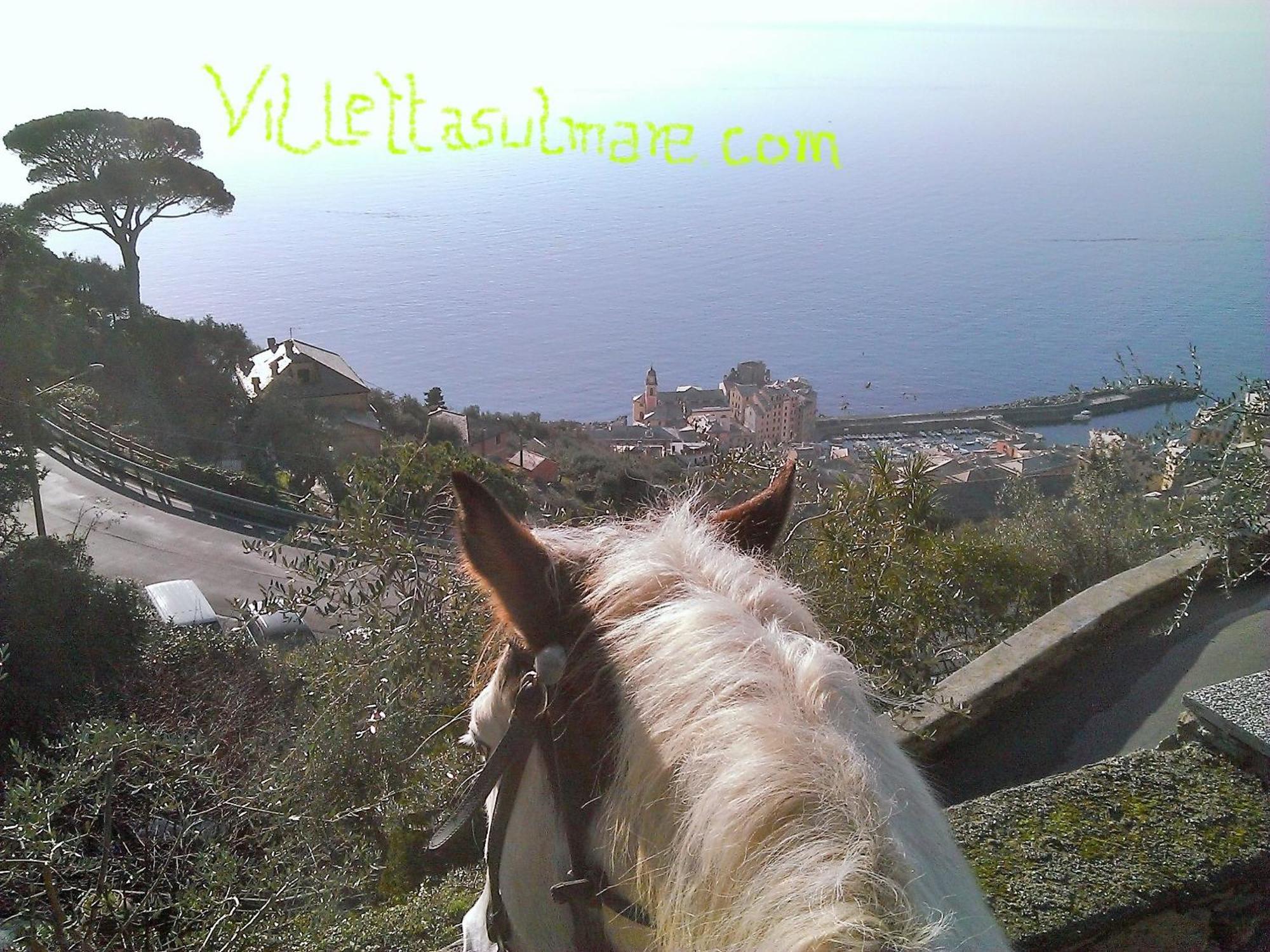 Villetta Sul Mare كامولّي المظهر الخارجي الصورة